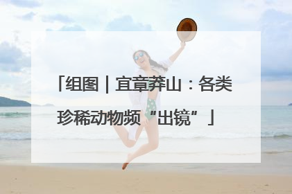 组图｜宜章莽山：各类珍稀动物频“出镜”