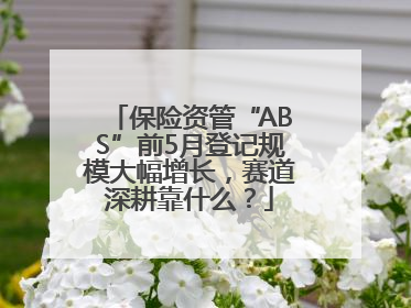 保险资管“ABS”前5月登记规模大幅增长，赛道深耕靠什么？