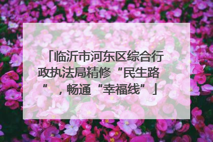 临沂市河东区综合行政执法局精修“民生路”，畅通“幸福线”