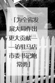 为全省发展大局作出更大贡献——访驻马店市委书记鲍常勇