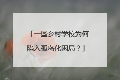 一些乡村学校为何陷入孤岛化困局？