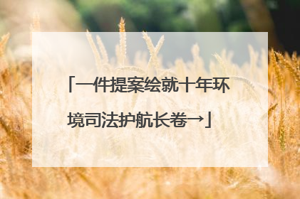 一件提案绘就十年环境司法护航长卷→