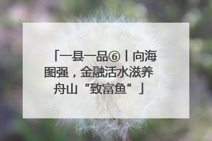 一县一品⑥丨向海图强，金融活水滋养舟山“致富鱼”