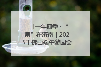 一年四季 · “泉”在济南｜2025千佛山端午游园会邀您共享亲子时光