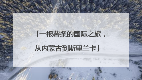 一根薯条的国际之旅，从内蒙古到斯里兰卡