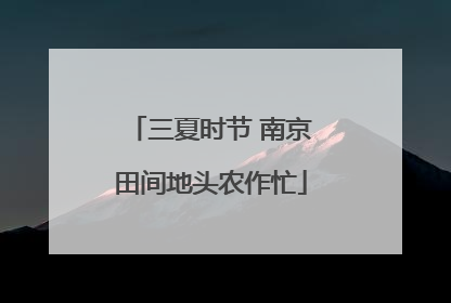 三夏时节 南京田间地头农作忙