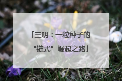 三明：一粒种子的“链式”崛起之路