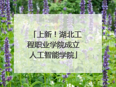 上新！湖北工程职业学院成立人工智能学院