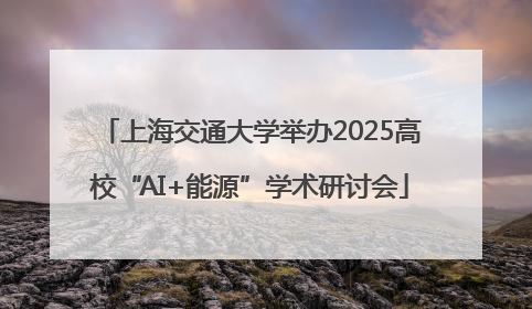 上海交通大学举办2025高校“AI+能源”学术研讨会