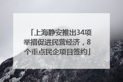 上海静安推出34项举措促进民营经济，8个重点民企项目签约