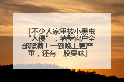 不少人家里被小黑虫“入侵”，墙壁窗户全部爬满！一到晚上更严重，还有一股臭味