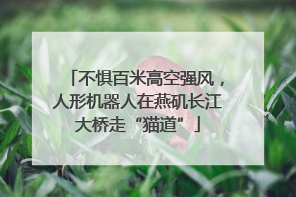 不惧百米高空强风，人形机器人在燕矶长江大桥走“猫道”