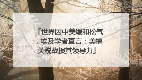 世界因中美缓和松气，埃及学者直言：美搞关税战损其领导力
