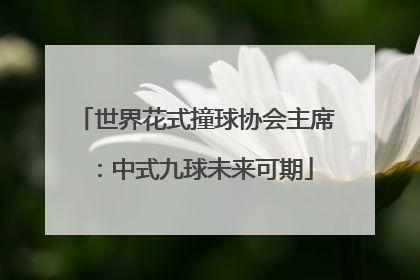 世界花式撞球协会主席：中式九球未来可期