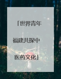 世界青年福建共探中医药文化