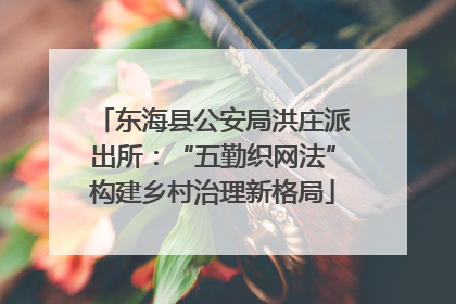 东海县公安局洪庄派出所：“五勤织网法”构建乡村治理新格局