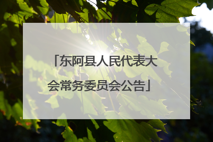 东阿县人民代表大会常务委员会公告