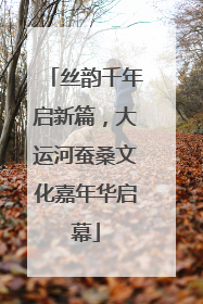 丝韵千年启新篇，大运河蚕桑文化嘉年华启幕