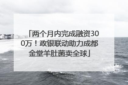 两个月内完成融资300万！政银联动助力成都金堂羊肚菌卖全球