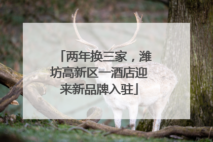 两年换三家，潍坊高新区一酒店迎来新品牌入驻