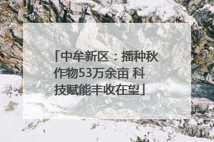中牟新区：播种秋作物53万余亩 科技赋能丰收在望