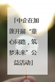 中企在加蓬开展“童心同路，筑梦未来”公益活动