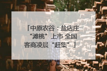 中原农谷：盐店庄“滩桃”上市 全国客商凌晨“赶集”