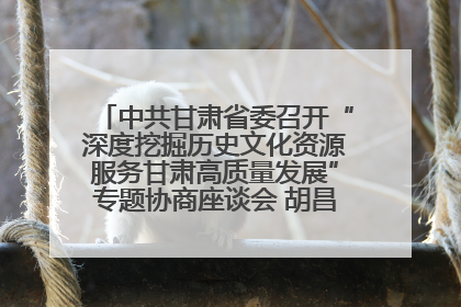 中共甘肃省委召开“深度挖掘历史文化资源服务甘肃高质量发展”专题协商座谈会 胡昌升主持并讲话