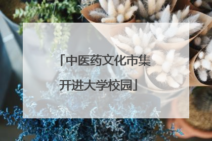 中医药文化市集开进大学校园