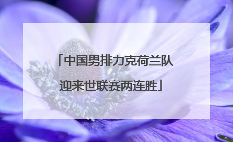 中国男排力克荷兰队 迎来世联赛两连胜