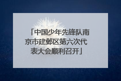 中国少年先锋队南京市建邺区第六次代表大会顺利召开