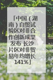 中国（湖南）自贸试验区对非合作创新成果发布 长沙片区对非贸易年均增长141%