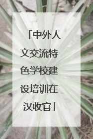 中外人文交流特色学校建设培训在汉收官