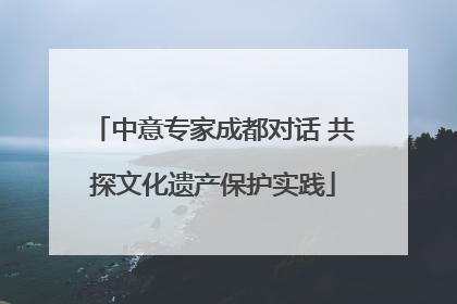 中意专家成都对话 共探文化遗产保护实践