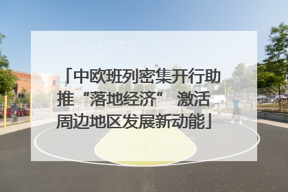 中欧班列密集开行助推“落地经济” 激活周边地区发展新动能