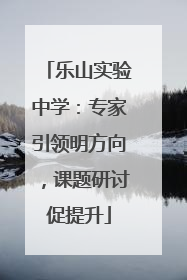 乐山实验中学：专家引领明方向，课题研讨促提升