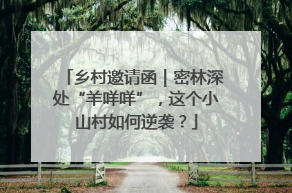 乡村邀请函｜密林深处“羊咩咩”，这个小山村如何逆袭？