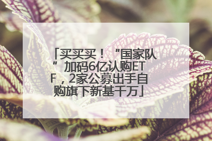 买买买！“国家队”加码6亿认购ETF，2家公募出手自购旗下新基千万