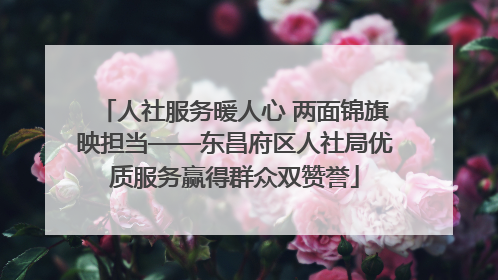 人社服务暖人心 两面锦旗映担当——东昌府区人社局优质服务赢得群众双赞誉