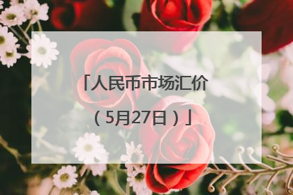人民币市场汇价（5月27日）
