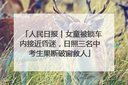 人民日报｜女童被锁车内接近昏迷，日照三名中考生果断破窗救人