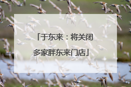 于东来：将关闭多家胖东来门店