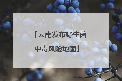 云南发布野生菌中毒风险地图