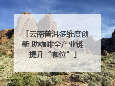 云南普洱多维度创新 助咖啡全产业链提升“咖位”