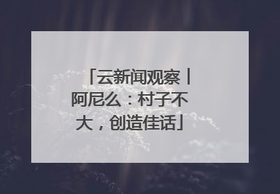 云新闻观察︱阿尼么：村子不大，创造佳话