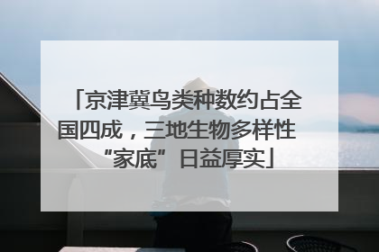 京津冀鸟类种数约占全国四成，三地生物多样性“家底”日益厚实