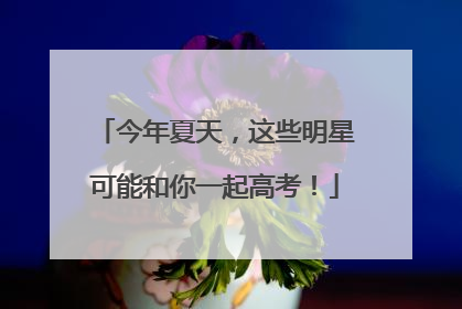 今年夏天，这些明星可能和你一起高考！