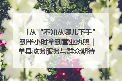 从“不知从哪儿下手”到半小时拿到营业执照｜单县政务服务与群众期待的“双向奔赴”