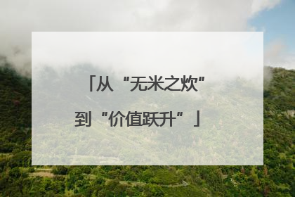 从“无米之炊”到“价值跃升”