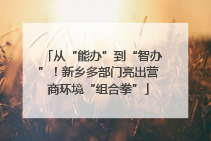 从“能办”到“智办”！新乡多部门亮出营商环境“组合拳”